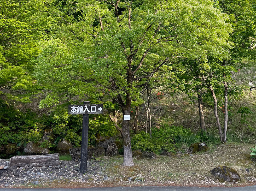 散策コース